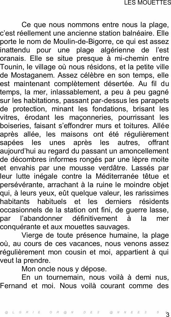 Les mouettes2 (2).jpg
